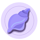 Conch 图标